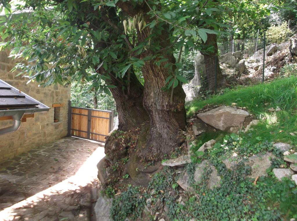Agriturismo Ai Ronchi Sorico Ngoại thất bức ảnh