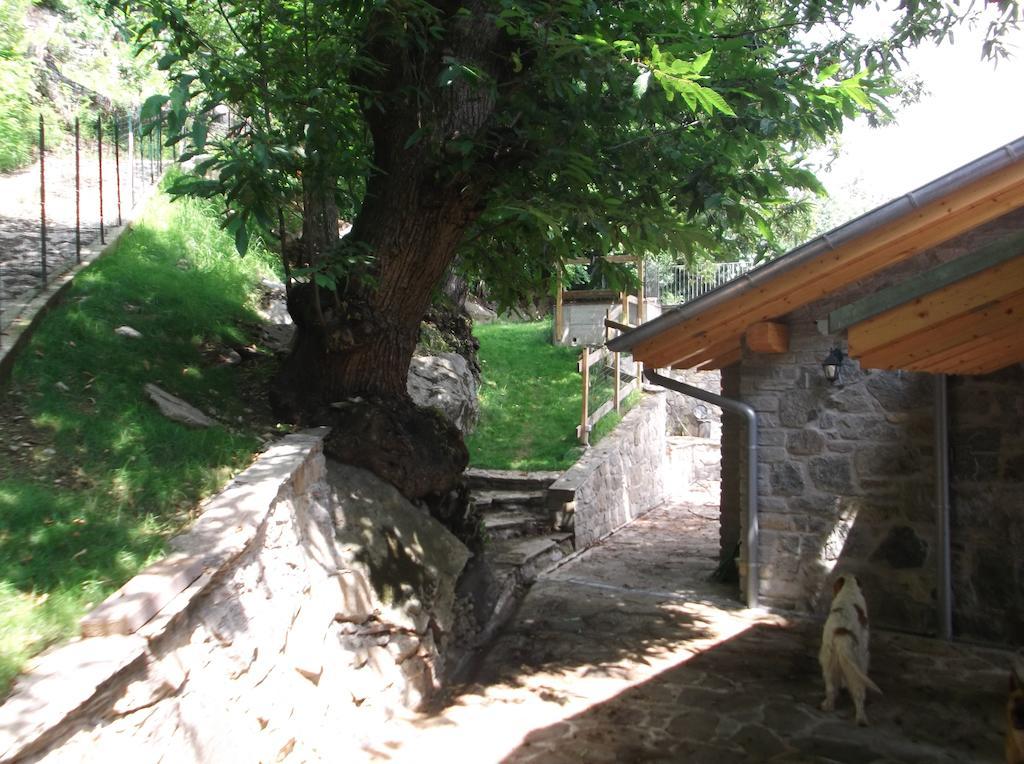 Agriturismo Ai Ronchi Sorico Ngoại thất bức ảnh